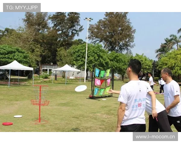 飞盘盘灵精神在体育运动中的深度探索与实践应用